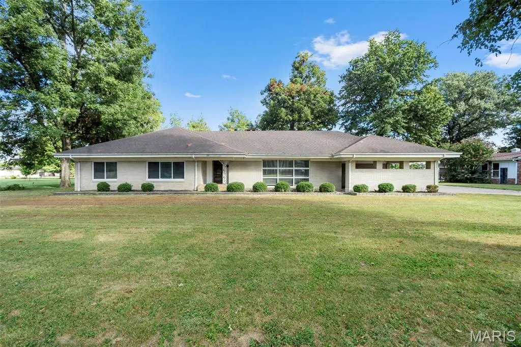 931 Scott Street, New Madrid, MO 63869 - #1