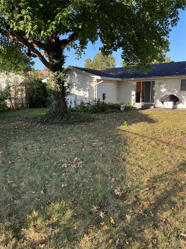 11965 Kingshead Drive, Florissant, MO 63033 - #2