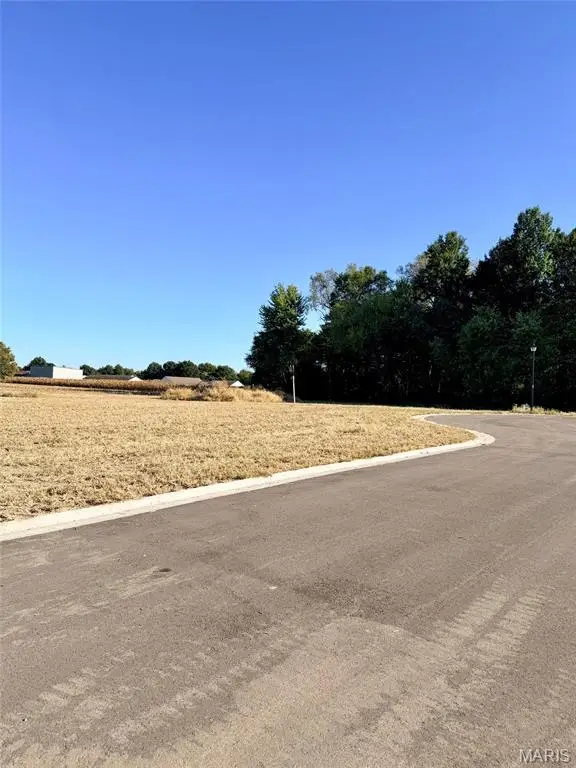 1100 & 1102 Lavender Lane, Litchfield, IL 62056 - #3