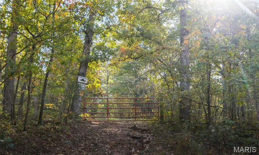000 Long Spring Tract 3, Steelville, MO 65565 - #2