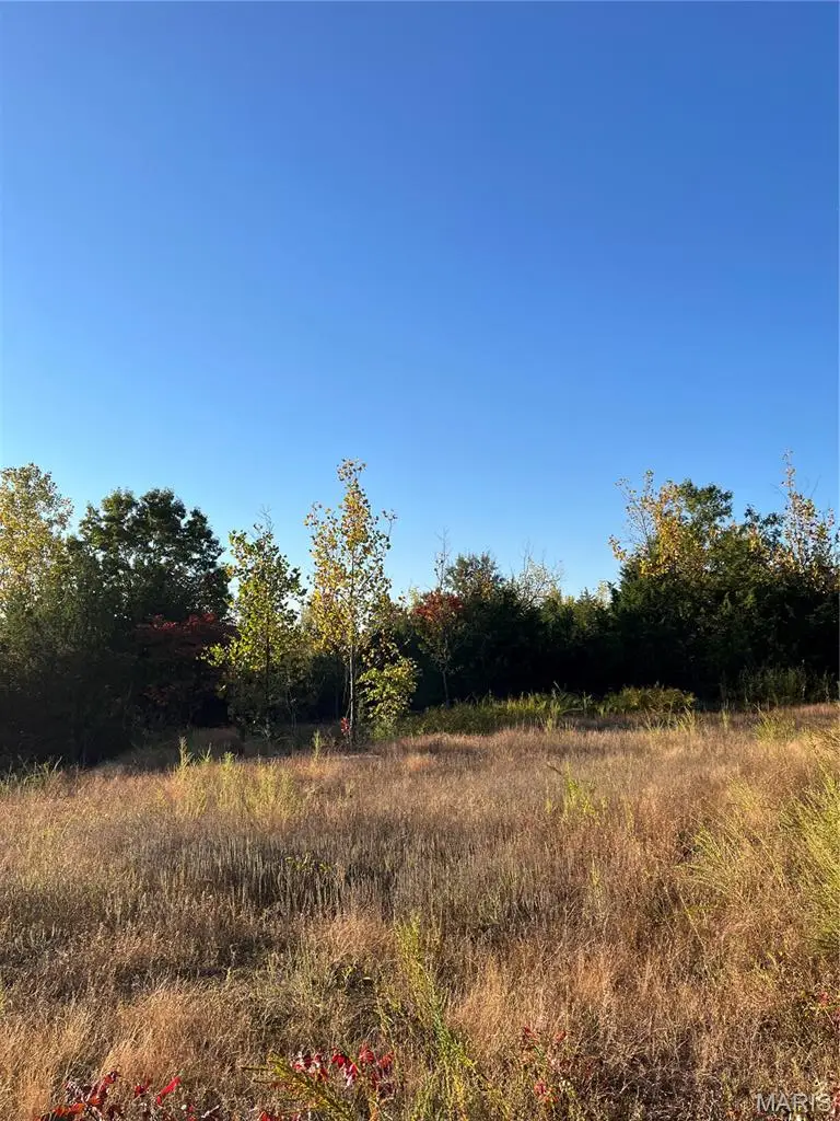19 Lake Forest Farm Road, Richwoods, MO 63071 - #2