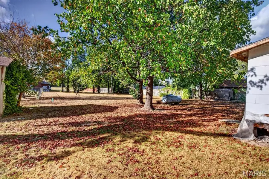 359 W Hayes Street, Lebanon, MO 65536 - #3