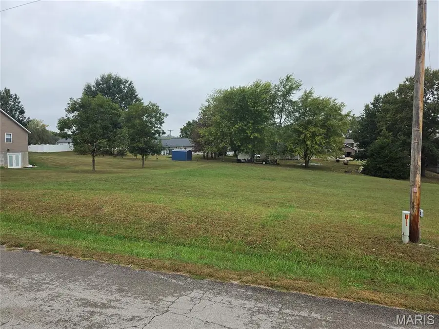 Lot 17 Circle Drive, Saint Mary, MO 63673 - #2