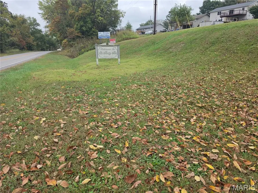 Lot 17 Circle Drive, Saint Mary, MO 63673 - #3