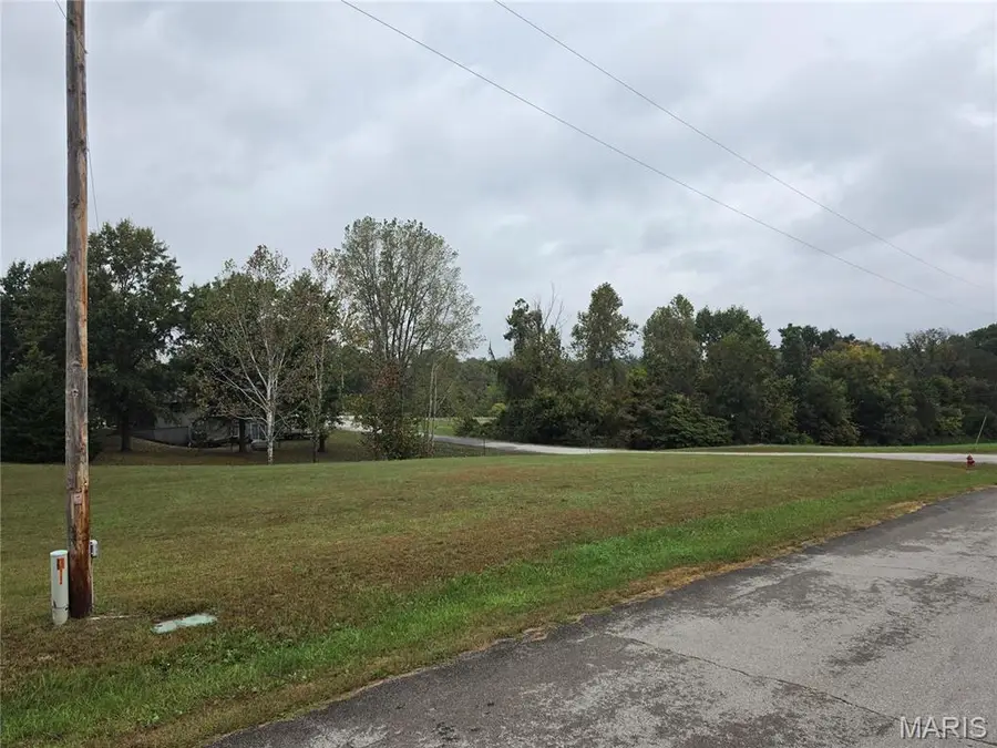 Lot 18 Circle Drive, Saint Mary, MO 63673 - #2