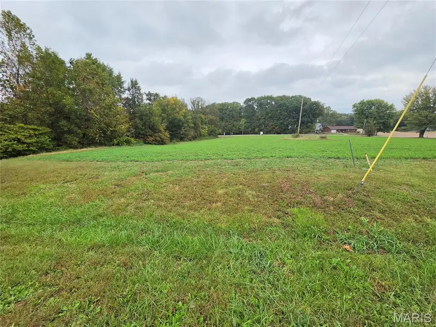 Lot 19 Circle Drive, Saint Mary, MO 63673 - #2