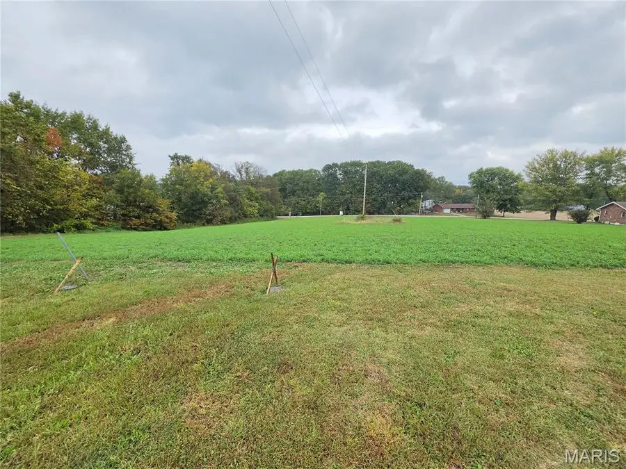 Lot 22 Circle Drive, Saint Mary, MO 63673 - #2