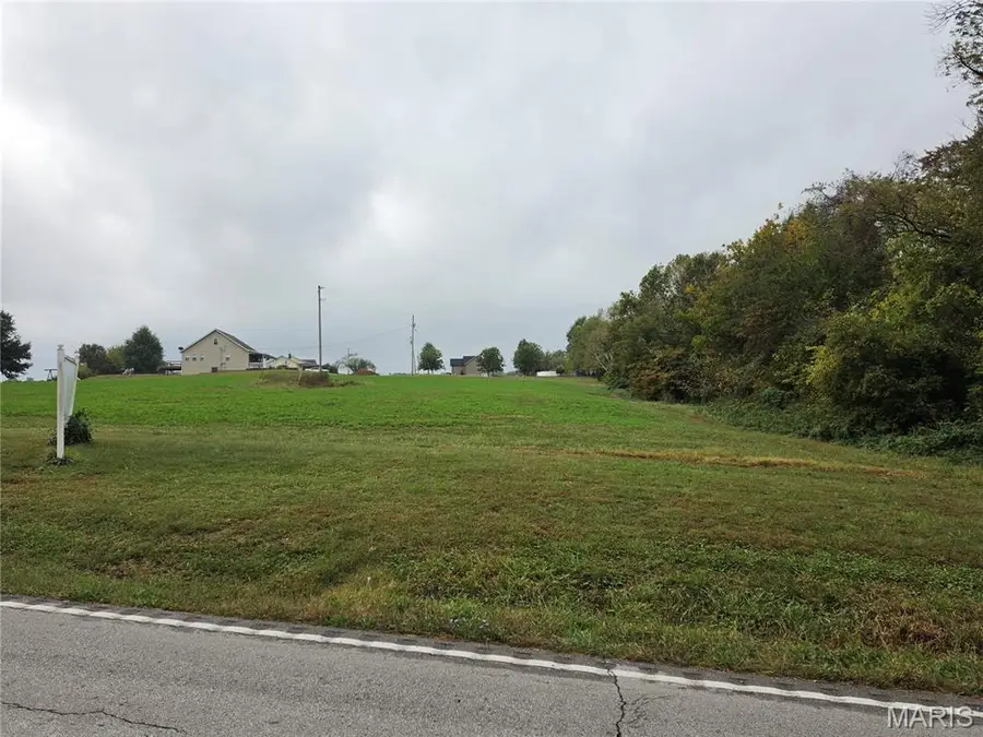 Lot 20 Highway H, Saint Mary, MO 63673 - #2