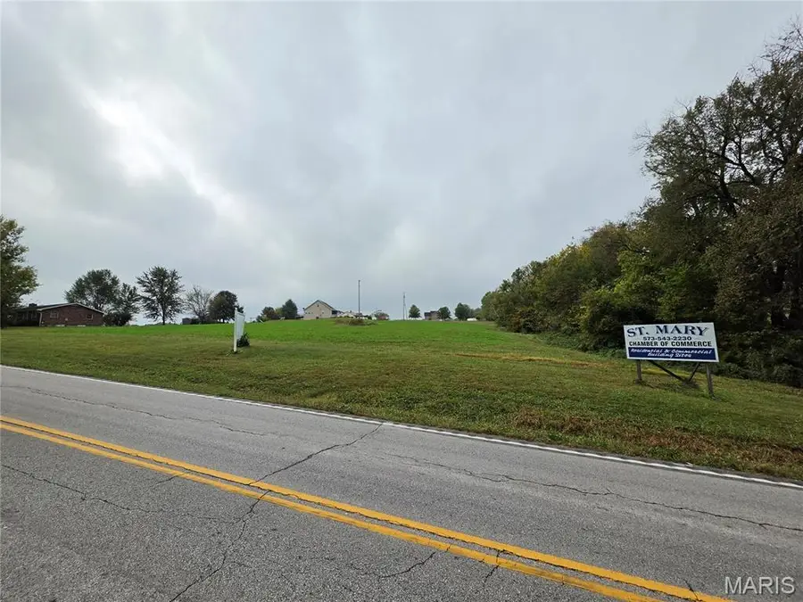 Lot 20 Highway H, Saint Mary, MO 63673 - #3