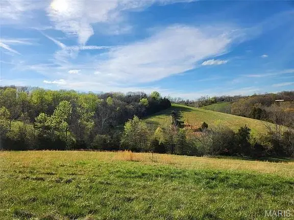 0 County Road 525, Jackson, MO 63755 - #1