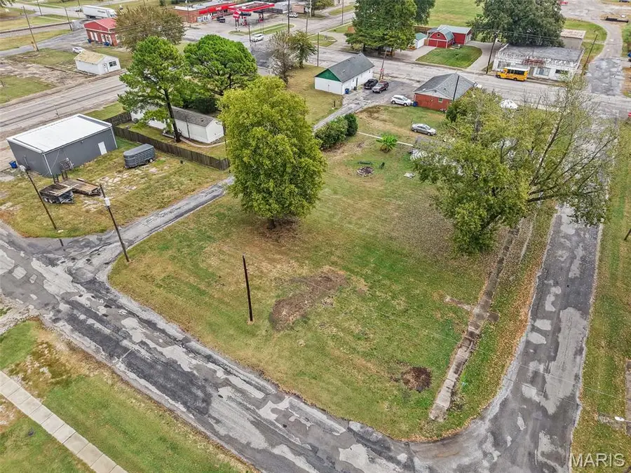 113 W Elm Street, Baldwin, IL 62217 - #2