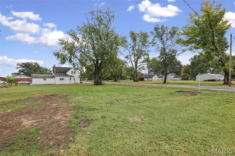 113 W Elm Street, Baldwin, IL 62217 - #3