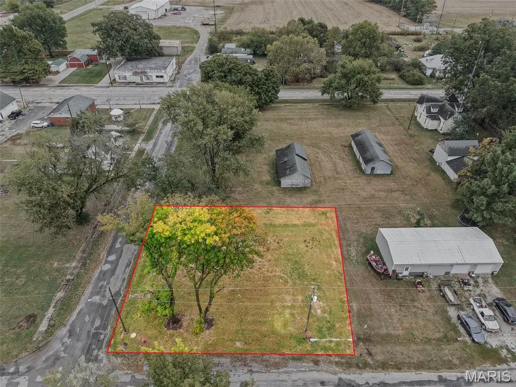 112 W Elm Street, Baldwin, IL 62217 - #1