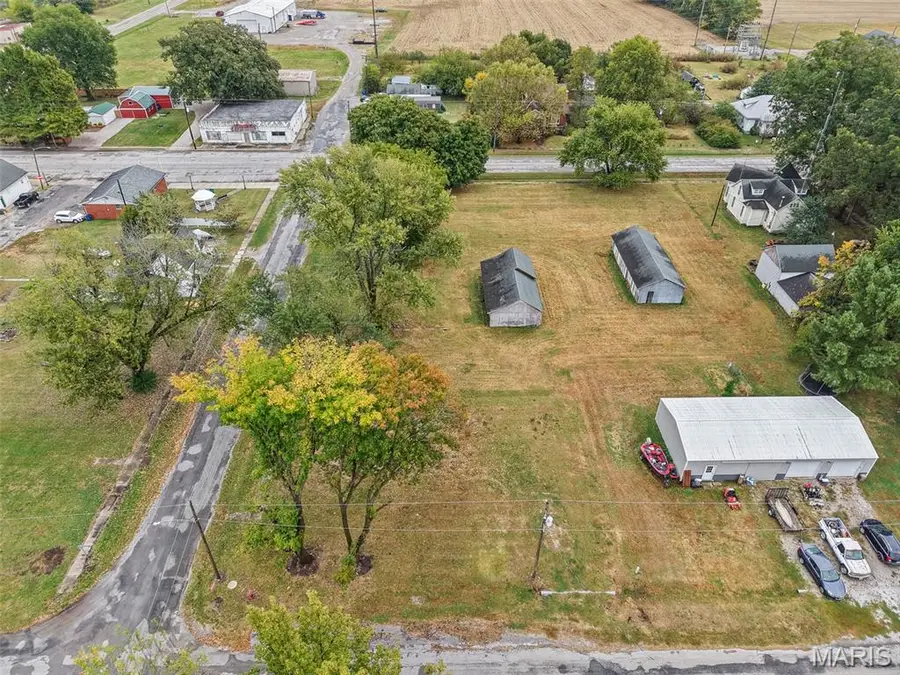 112 W Elm Street, Baldwin, IL 62217 - #2