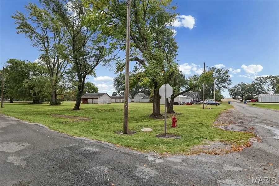 112 W Elm Street, Baldwin, IL 62217 - #3