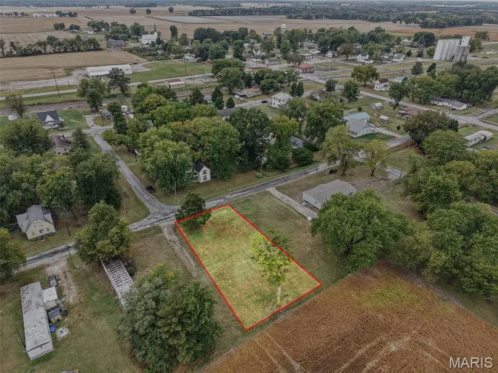 213 E Chestnut Street, Baldwin, IL 62217 - #1