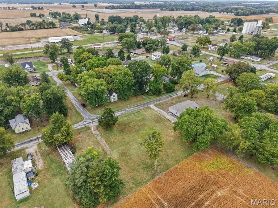 213 E Chestnut Street, Baldwin, IL 62217 - #2