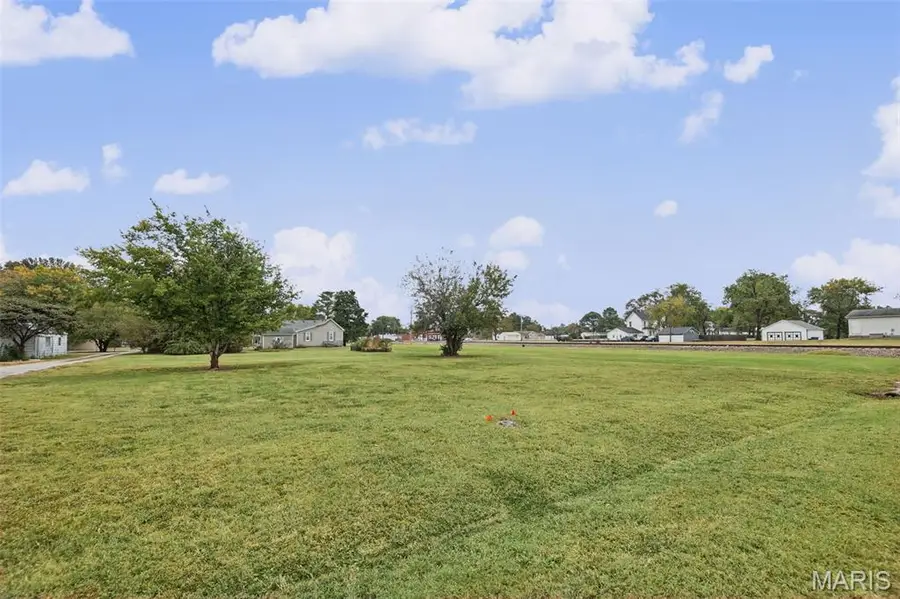 213 E Chestnut Street, Baldwin, IL 62217 - #3
