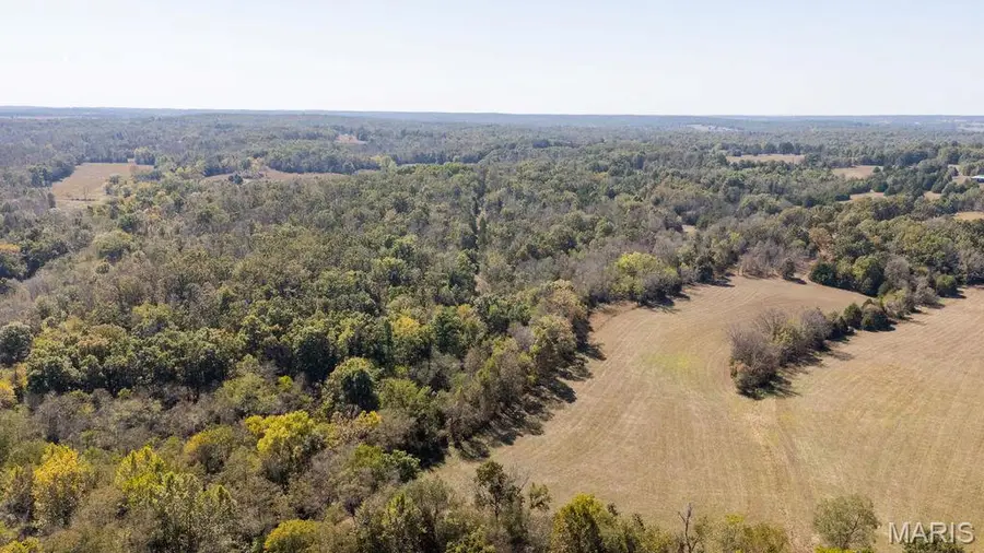 13962 Highway H, Edgar Springs, MO 65462 - #3