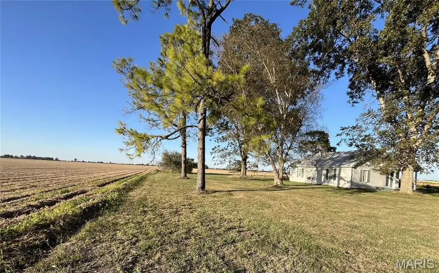 260 County Highway 250, Hayti, MO 63851 - #2