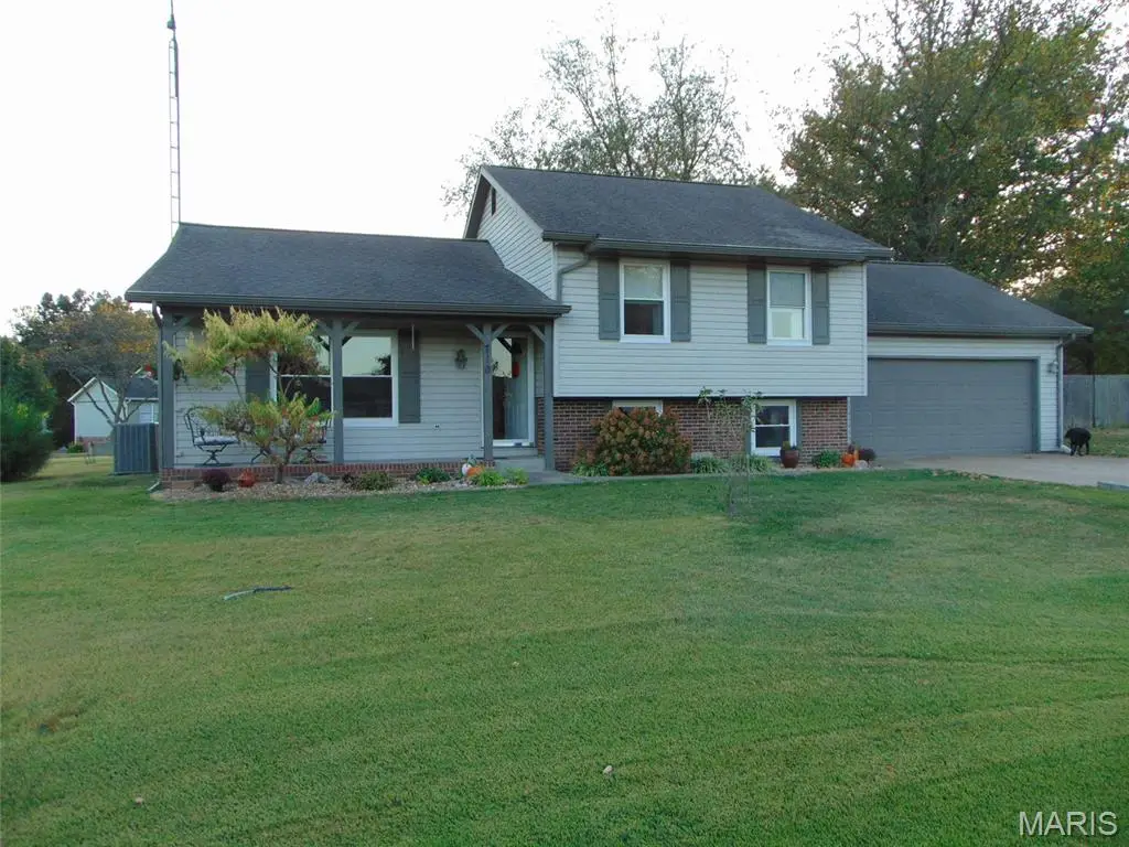 710 Palace Drive, Pinckneyville, IL 62274 - #1