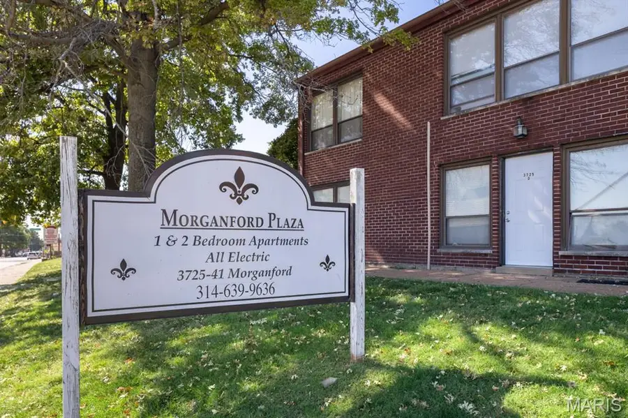 3725-41 Morganford Road, Saint Louis, MO 63116 - #2