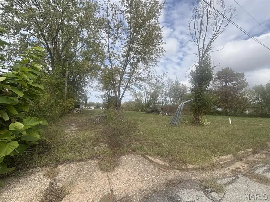 816 E Hunt Street, Salem, MO 65560 - #3