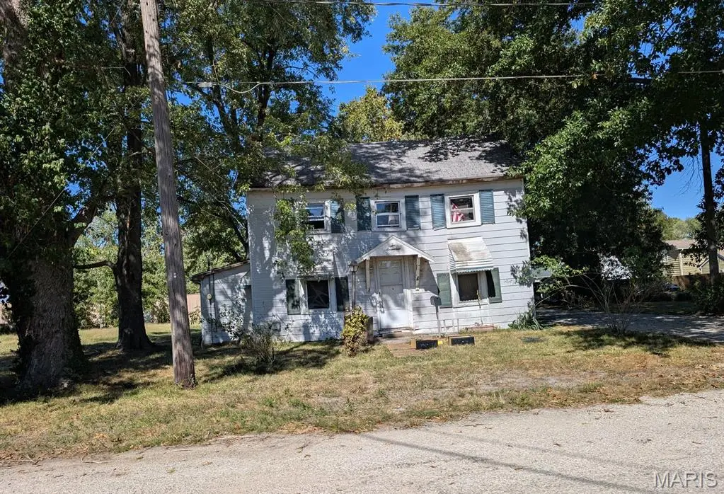 217 E White Street, Marissa, IL 62257 - #1