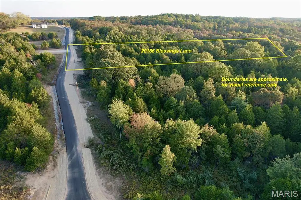 20166 Blessings Lane, Farmington, MO 63640 - #1