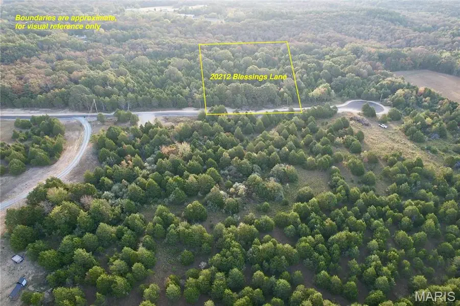 20212 Blessings Lane, Farmington, MO 63640 - #2