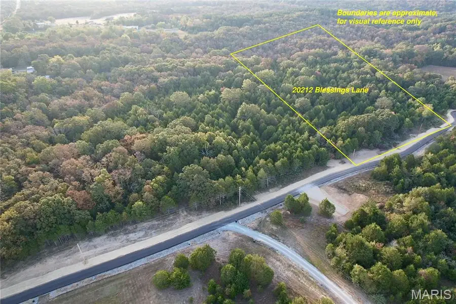 20212 Blessings Lane, Farmington, MO 63640 - #3