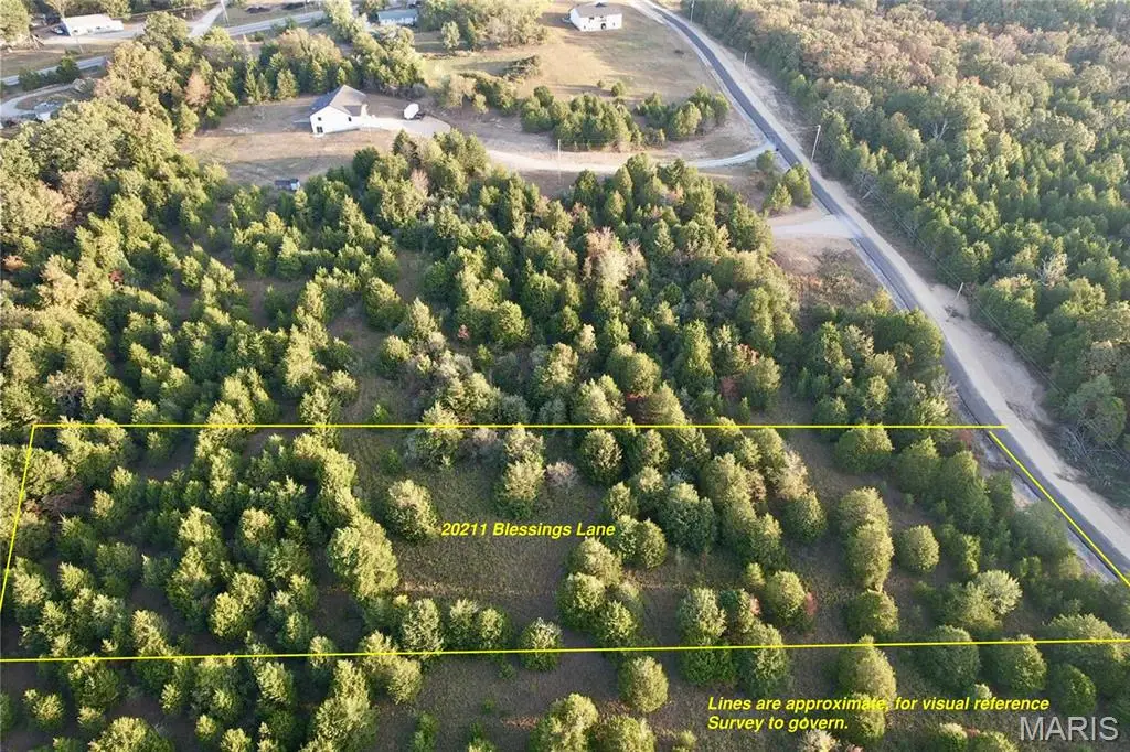 20211 Blessings Lane, Farmington, MO 63640 - #1