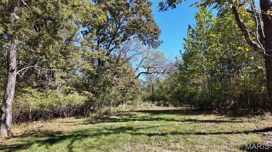 5883 N Lakeshore Drive, Hillsboro, MO 63050 - #3