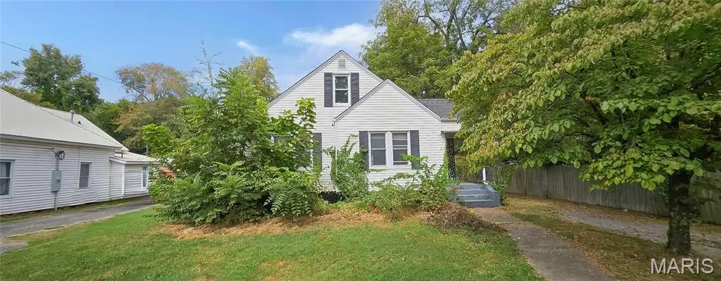 213 Danforth Street, Charleston, MO 63834 - #1