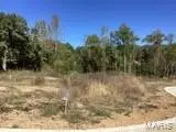 0 Sydney Court, Washington, MO 63090 - #1