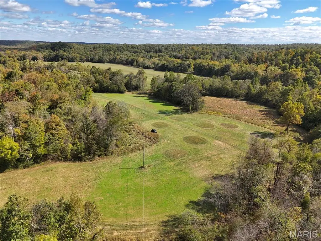 1247 Forest Road 61, Doniphan, MO 63935 - #1