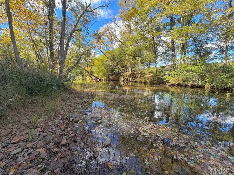 1247 Forest Road 61, Doniphan, MO 63935 - #2