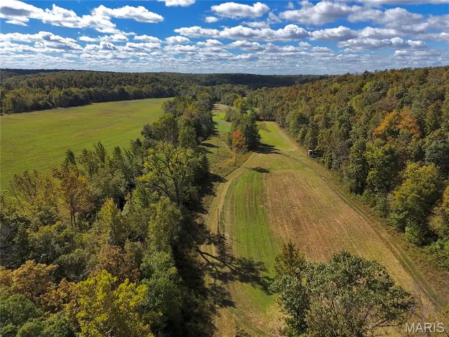 1247 Forest Road 61, Doniphan, MO 63935 - #3