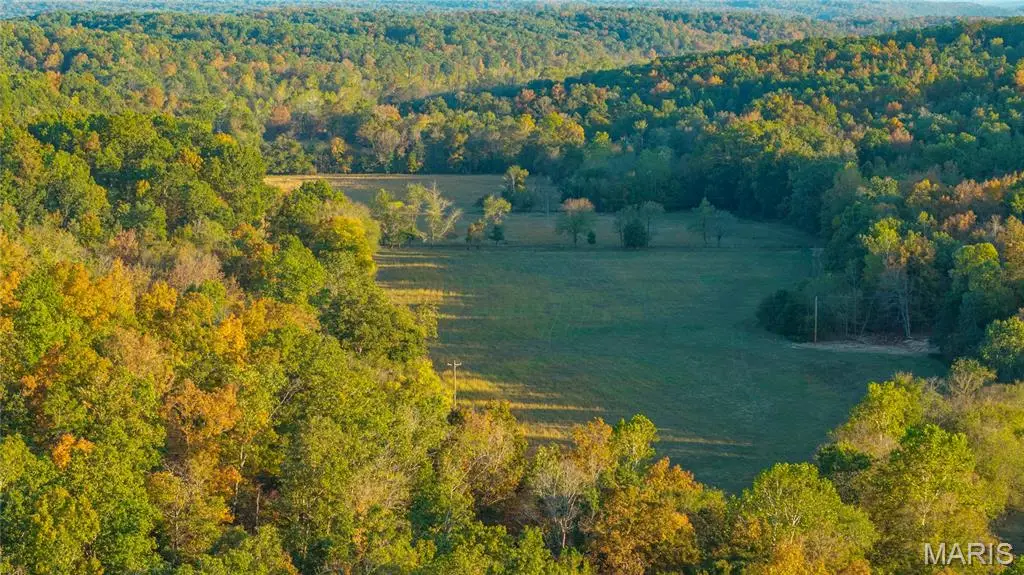 57 Wayne 352, Piedmont, MO 63957 - #1