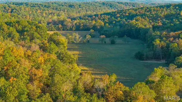 57 Wayne 352, Piedmont, MO 63957