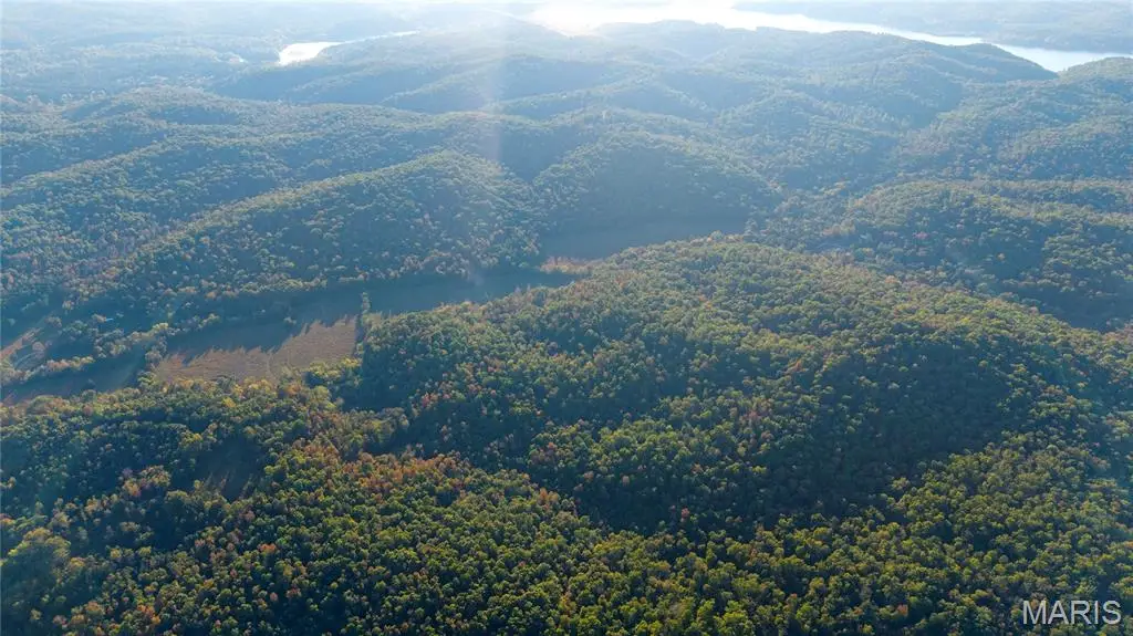 45 Wayne 352, Piedmont, MO 63957 - #1