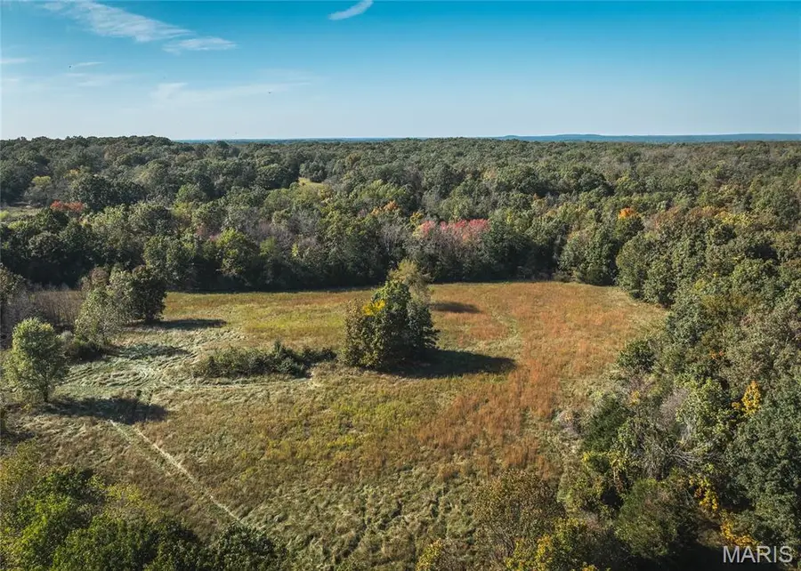 0 Turkey Ridge Lane, Steelville, MO 65565 - #3
