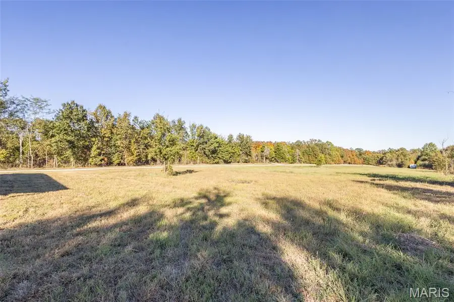 45080 Halyon Trail, Perry, MO 63462 - #3