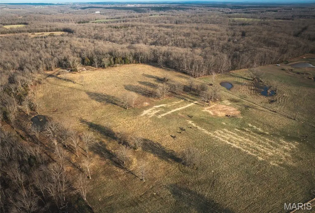 72 +/- acres Co Rd 8490, Newburg, MO 65550 - #1
