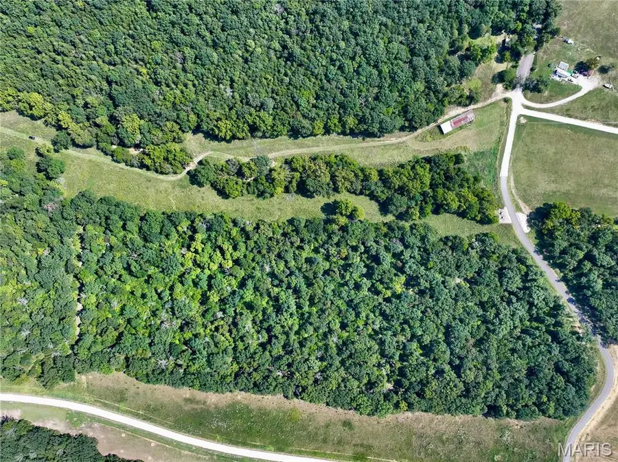 4 LOT Tanglefoot Farms Road, Festus, MO 63028 - #2