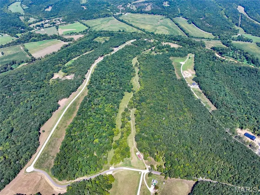 4 LOT Tanglefoot Farms Road, Festus, MO 63028 - #3