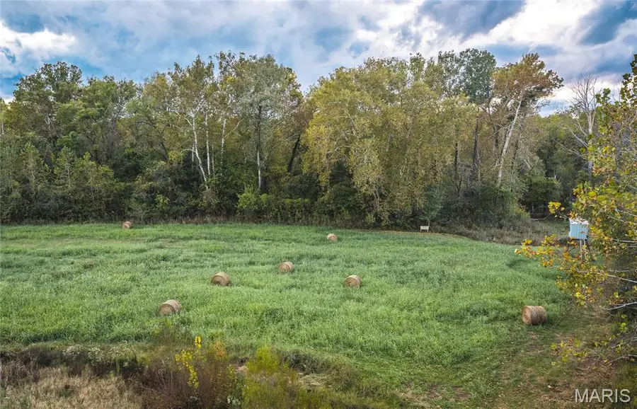 9305 Old State Route 21, Hillsboro, MO 63050 - #2