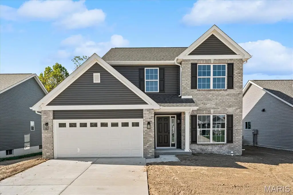 3911 Narrow Leaf Lane, Swansea, IL 62226 - #1