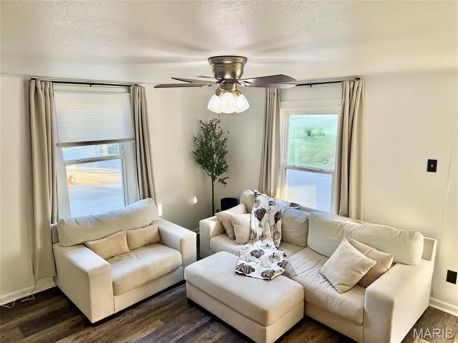 103 Frisco Street, Festus, MO 63028 - #3