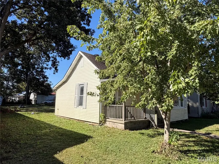 216 Cook Avenue, Chaffee, MO 63740 - #3